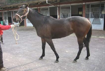 ������ ����