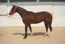 �츮�� (URIJIP) ����