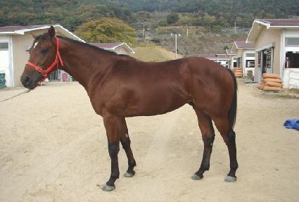 �ݺ����� ����