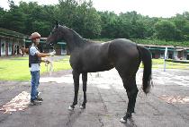 ���� (HAENGUN MULGYEOL) ����