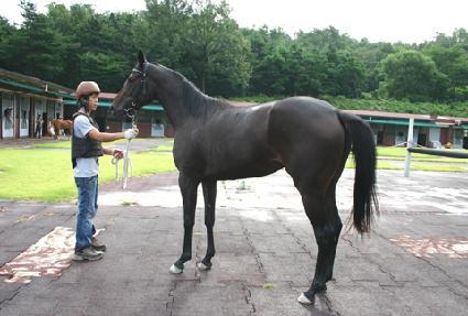 ���� ����