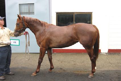 ������� ����