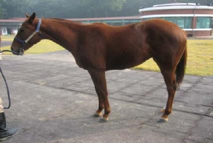 ��ũ ����