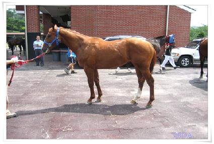 �̺����� ����