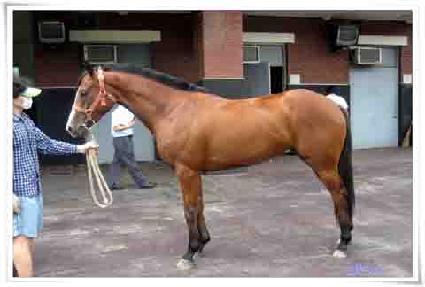 �������� ����