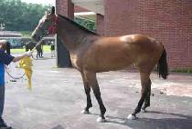 ©��ī���ڸ� ����