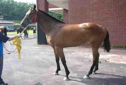 ©��ī���ڸ� ����