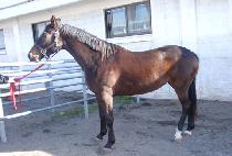 HUIMANGSAEMMUL picture