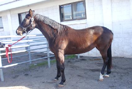 ������� ����