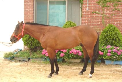 ����Ʈ���� ����