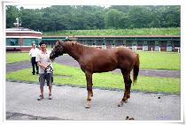 �����ְ� (MURIM CHOEGANG) ����