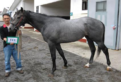 ����� ����