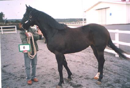 �������丮�� ����