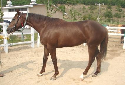 �����¸� ����