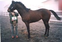 ��ȥ������ (YEONGHONUI JEONSA) ����