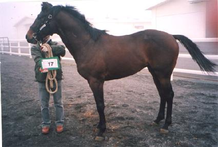 ��ȥ������ ����