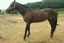 �俬 (DAPYEON) ����