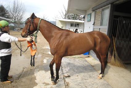 ����Ÿ ����