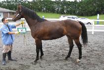 ���̳� (HEUNGINA) ����