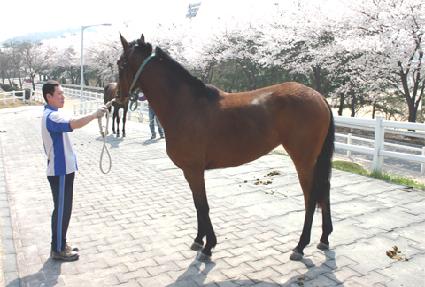 ��â�Ǿ�ħ ����