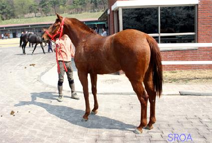 ������â ����