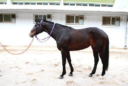 ��������� ����