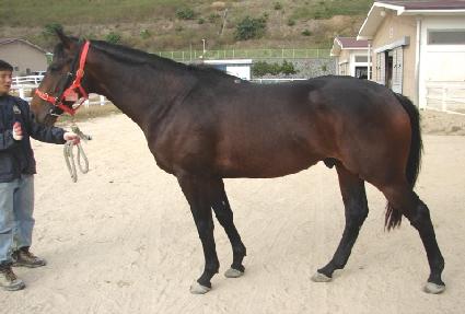 ��Ŀ�� ����