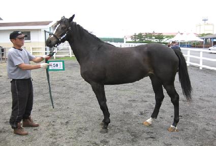 ����ʵ� ����