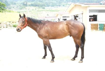 ���Ǳ⵵ ����