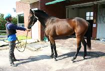 �ٽú��� (DASIBOGI) ����