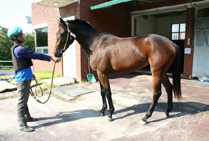 �ٽú��� ����