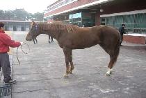 ���ո��� (YEOWANGMANSE) ����