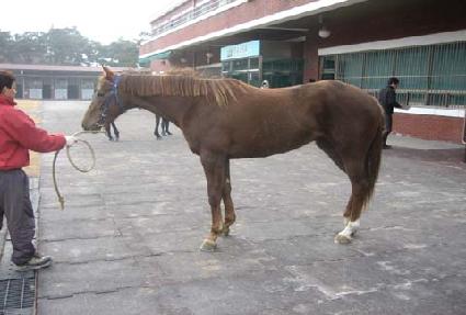 ���ո��� ����