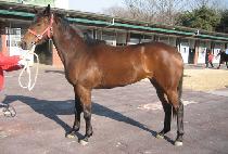 ���� (JEMA) ����