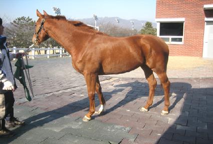 ���� ����