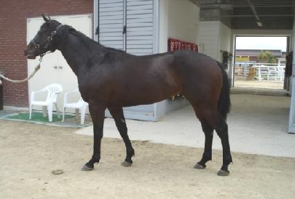 ���� ����