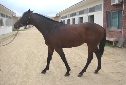 õ����Ÿ ����