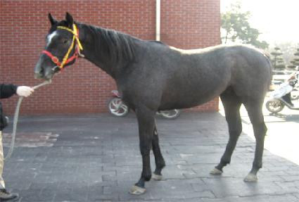 �������� ����