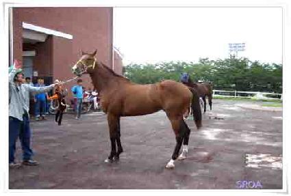 ����긵�� ����