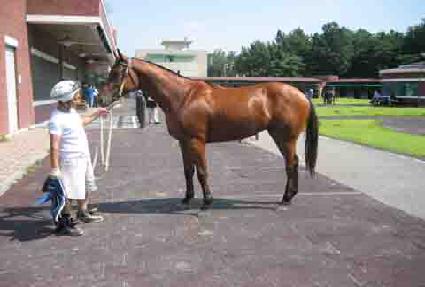 ���̳����� ����