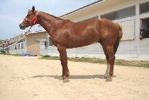 DAEJI JEONGBEOL picture