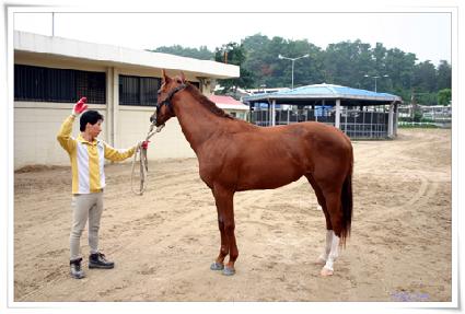 ��ȭó�� ����