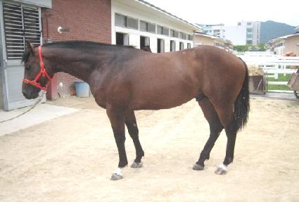 ��Ŀ�� ����