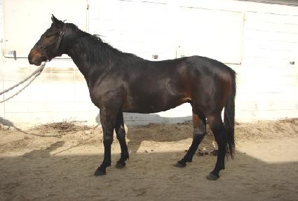 ����è�� ����