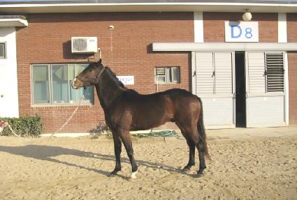 õ���� ����