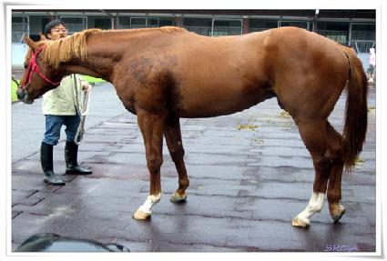 ���°��� ����