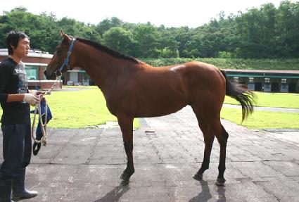 ����Ĺ ����