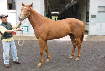 �Ŷ�õ�� ����