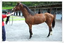 ���ؼ�ȣ (DONGHAE SUHO) ����