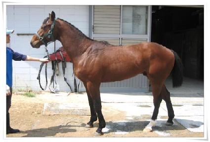 ȶ��ó�� ����